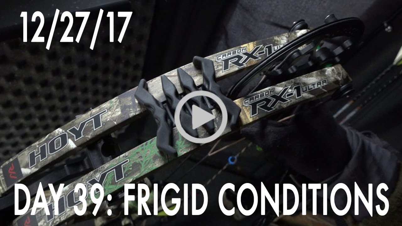 Winke Day 39: Frigid Conditions