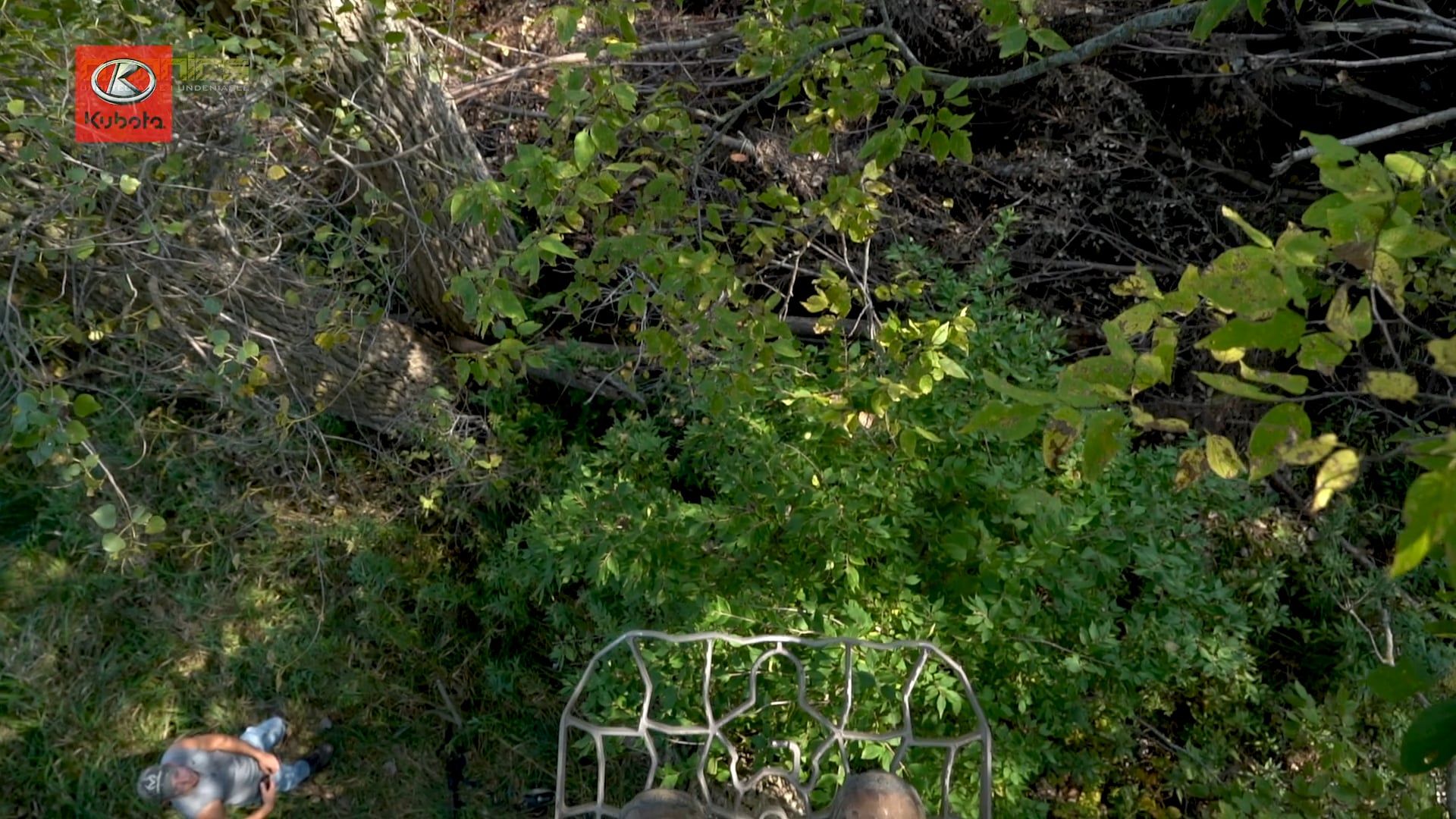 Drake's Blog: Taking Buck Inventory | Farm Updates and a Poor Man's Scrape Tree