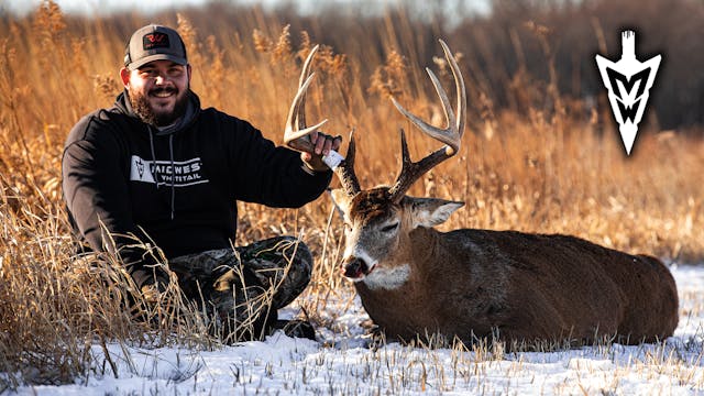 Giant-Bodied 8-Pointer, Buzzer-Beater...