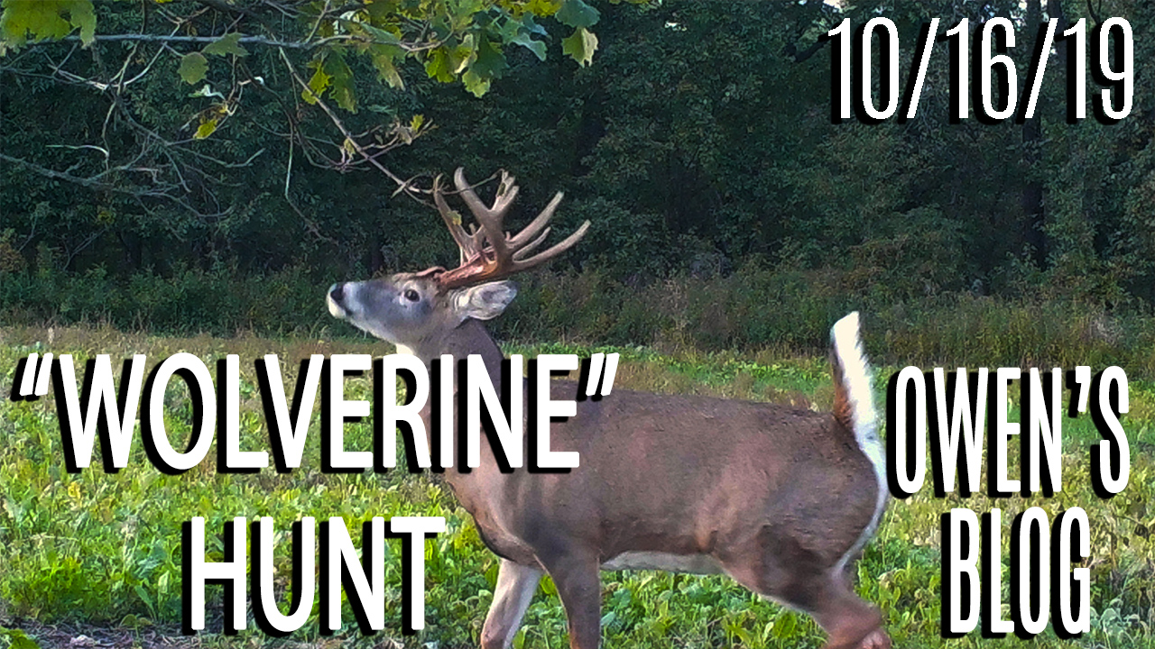 Owen's Blog | Hunt for "Wolverine"