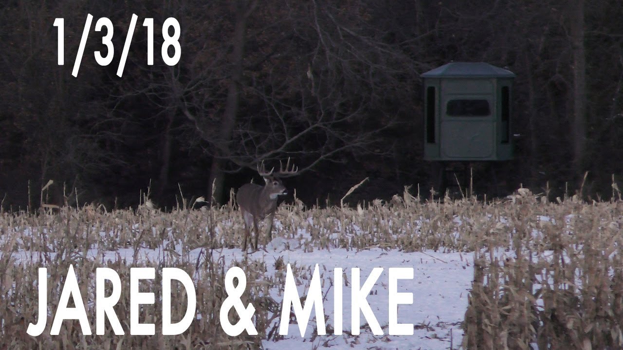 Jared's Blog: Short Brow 10