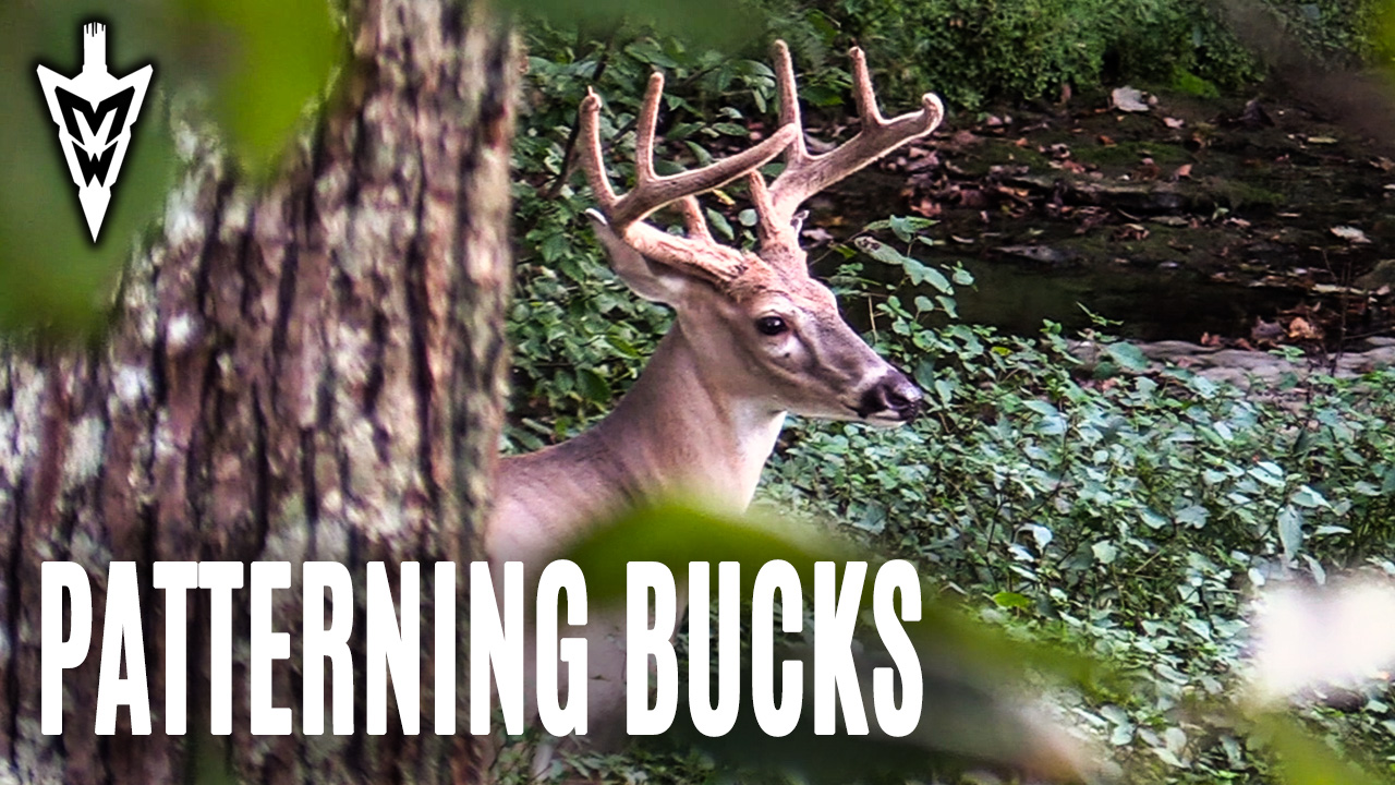 9-16-19: Early Season Encounter, Patterning Bucks | Midwest Whitetail