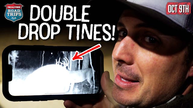 Double Drop Tines in the House | Firs...