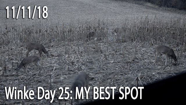 Winke Day 25: My Best Spot