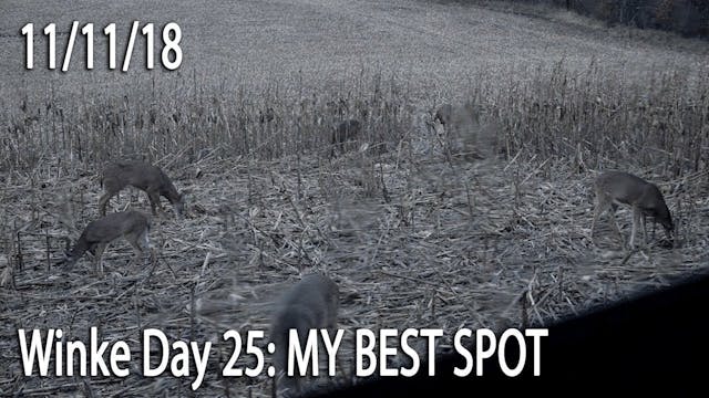 Winke Day 25: My Best Spot