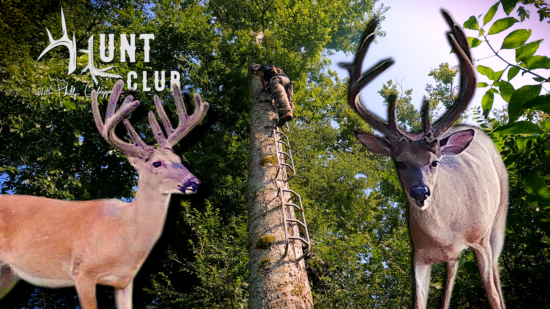 Big Bucks Are Here | Hanging a Lock-On Treestand | Hunt Club