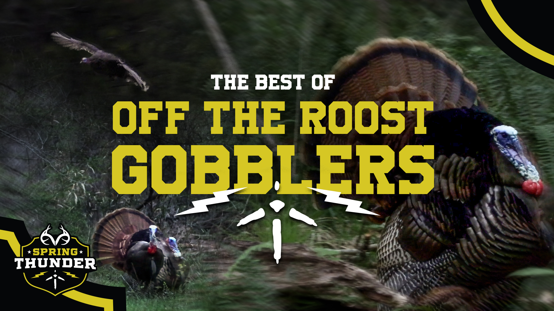 The Best Off-the-Roost Turkey Hunts | Spring Thunder