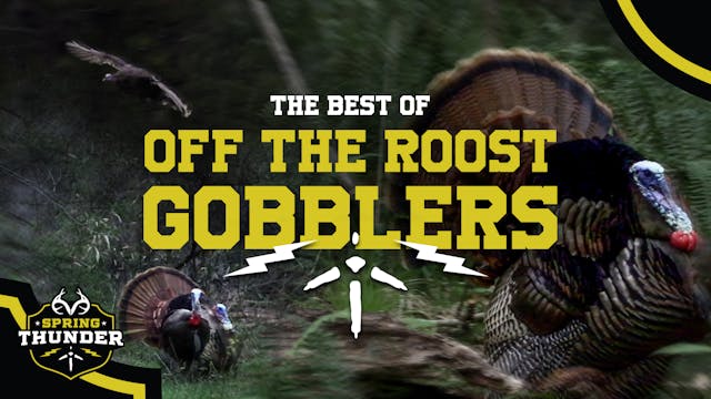 BEST off the ROOST Turkey HUNTS | Spr...