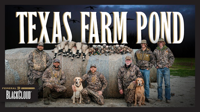 Duck Hunting a Texas Farm Pond | Mixed Bag of Ducks | Black Cloud