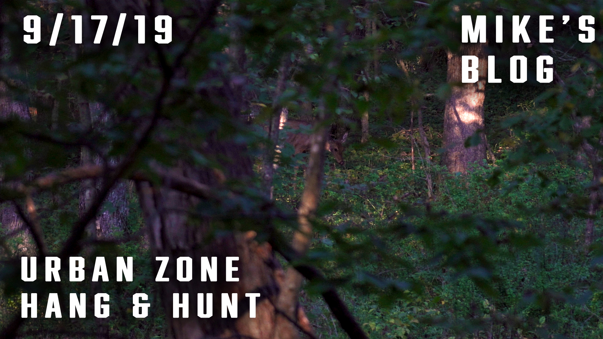 Mike's Blog: Urban Zone Hang & Hunt 