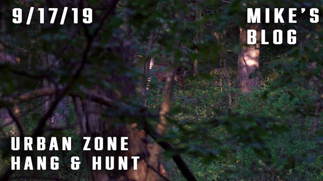 Mike's Blog: Urban Zone Hang & Hunt