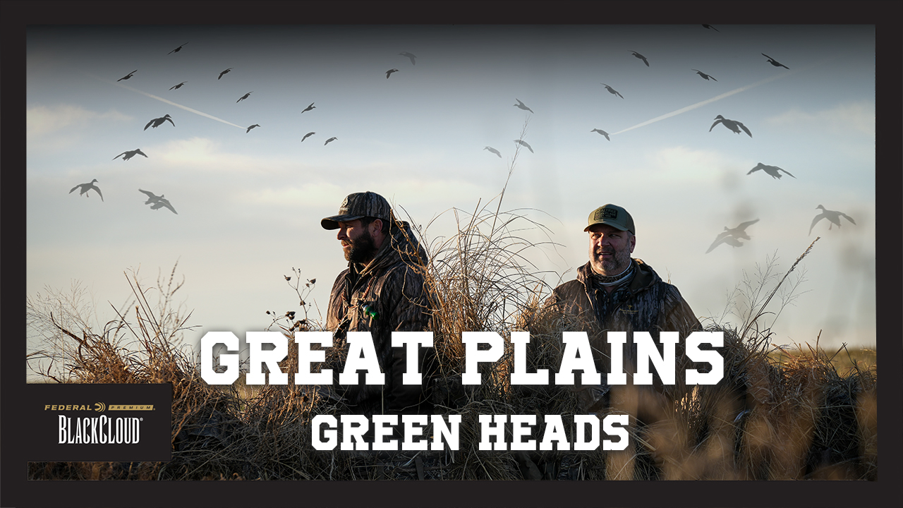 Covered up in DUCKS! | Kansas and Oklahoma Waterfowl Hunting