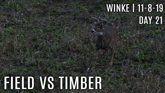 Winke Day 21: Field vs Timber, Best Rut Stands