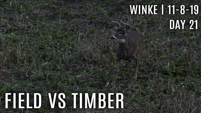 Winke Day 21: Field vs Timber, Best R...
