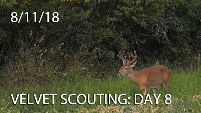 Winke's Blog: Velvet Scouting Day 8