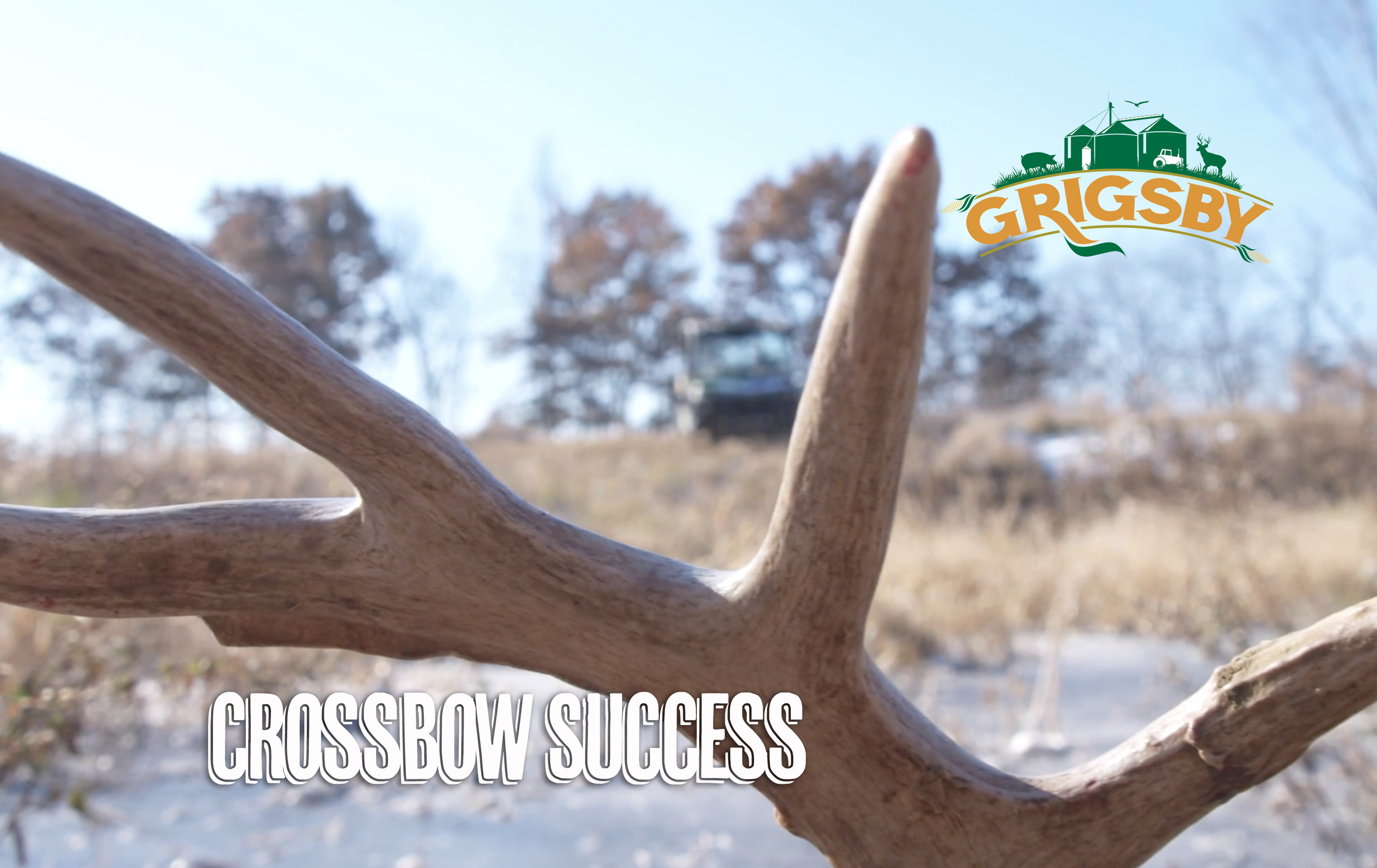 Giant Buck with a Crossbow
