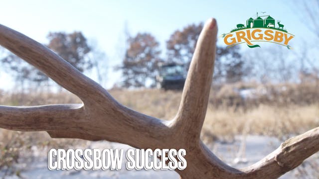 Giant Buck with a Crossbow