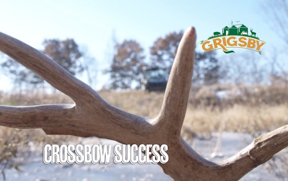 Giant Buck with a Crossbow