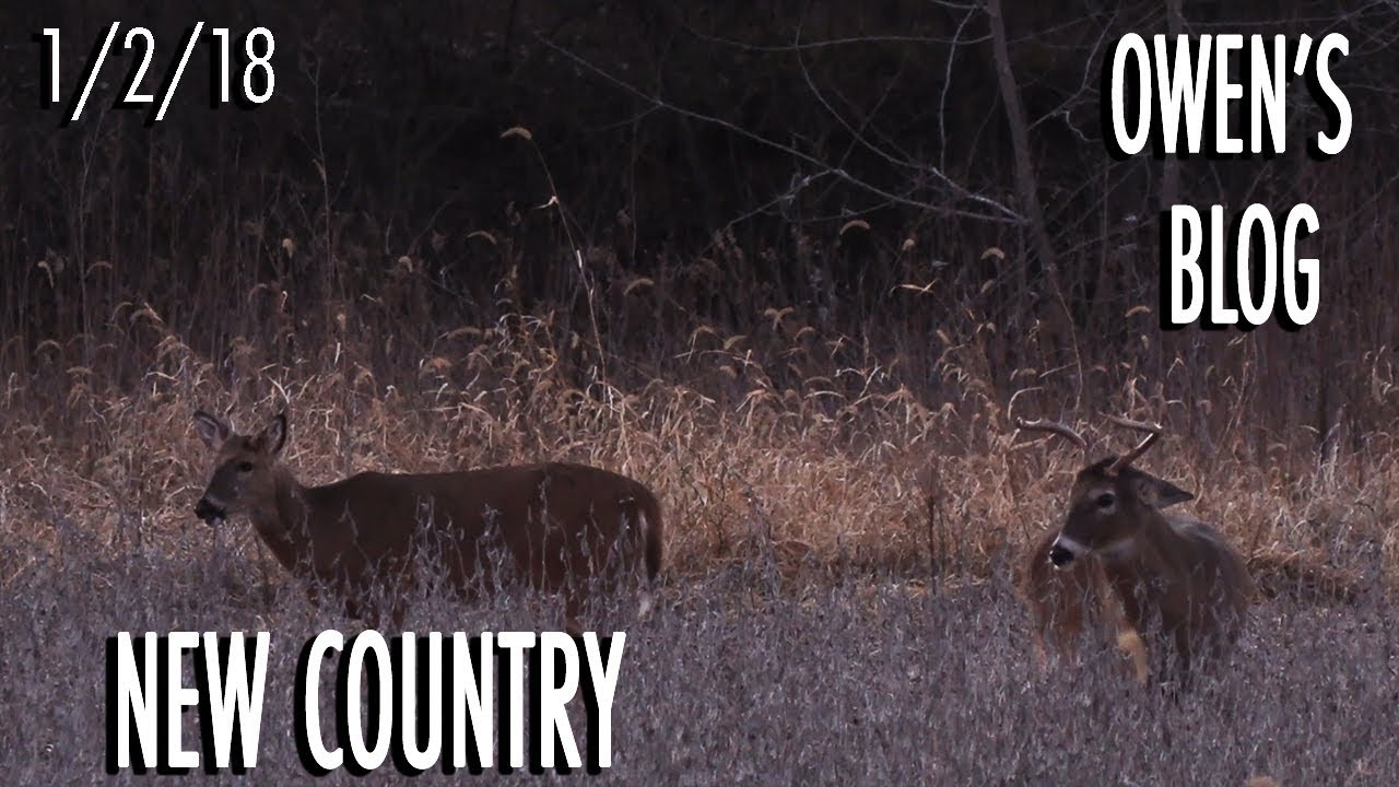 Owen's Blog: New Country