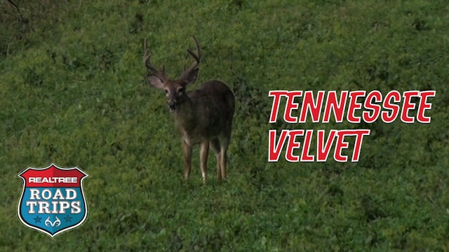 The Early Season Tennessee Velvet Hunt | Realtree Road Trips