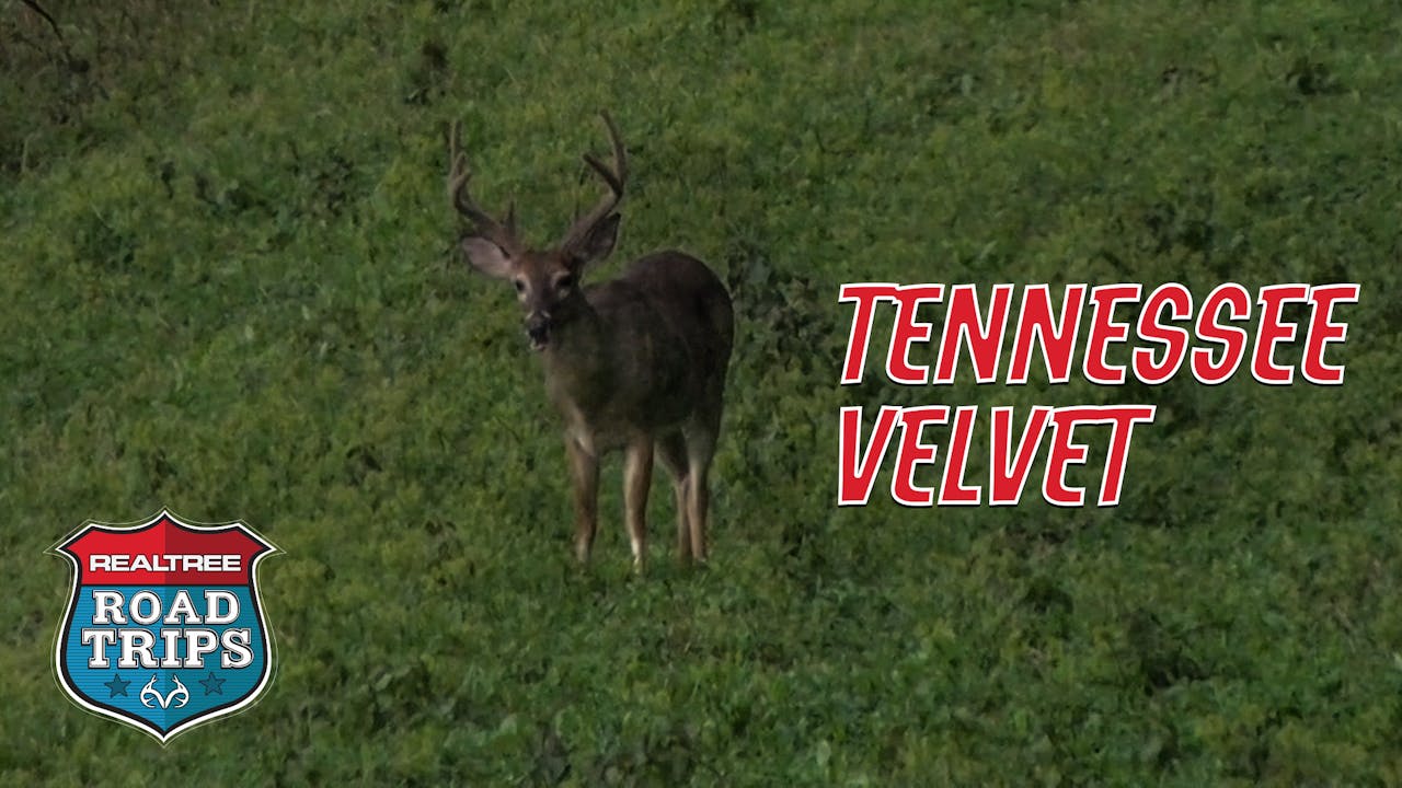 The Early Season Tennessee Velvet Hunt Realtree Road Trips 2020