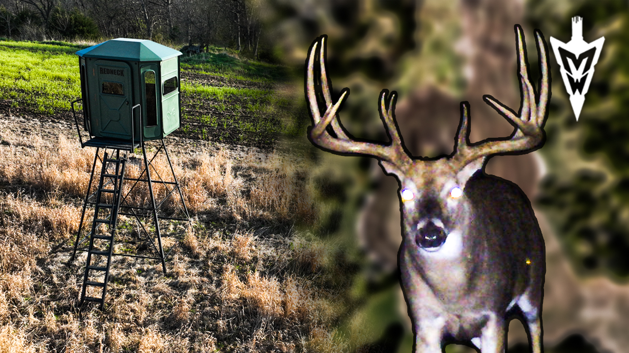 Hopeful for a 200-Inch Iowa Giant, First Stand on the New 80 | Midwest Whitetail