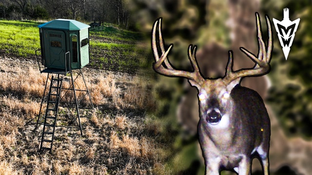 Hopeful for a 200-Inch Iowa Giant, First Stand on the New 80 | Midwest Whitetail
