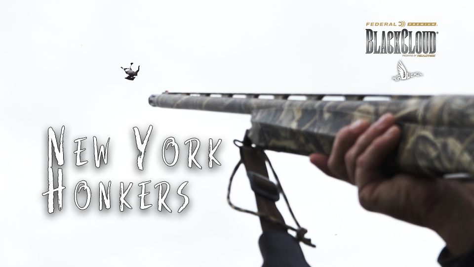 Hunting New York Honkers | Early Goose Season in the Northeast | Black Cloud