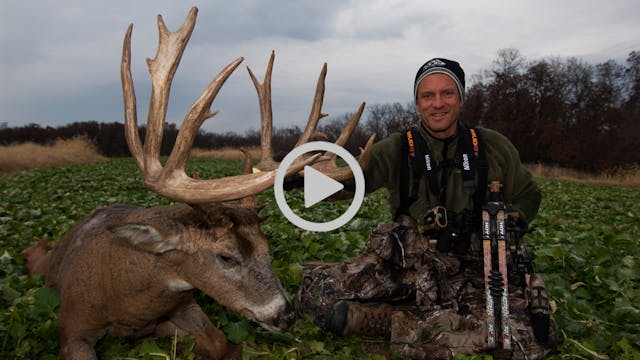 S1E1: Setting the Stage, EHD Recovery