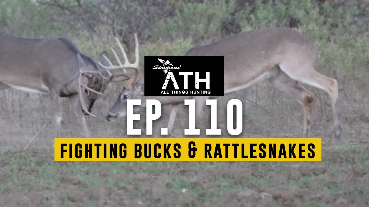 Fighting Bucks and Nasty Rattlesnakes | All Things Hunting