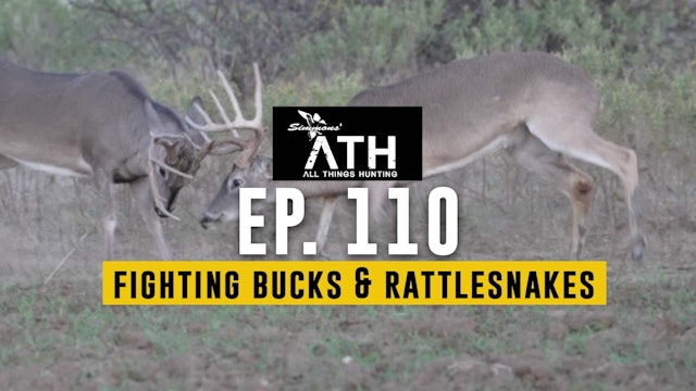 Fighting Bucks and Rattlesnakes | All Things Hunting