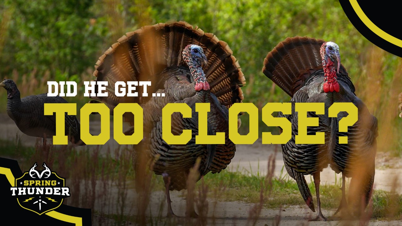 Strutters at 10 Yards | First Georgia Gobbler of the Year Down | Spring Thunder