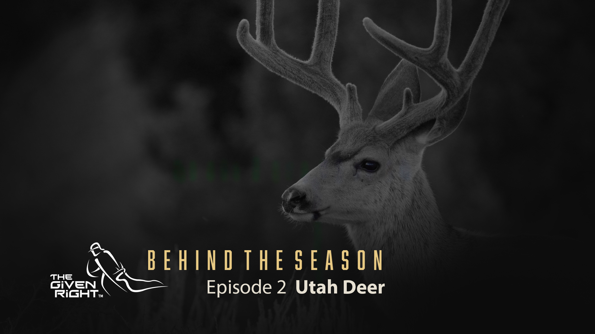 Bowhunting Velvet Mule Deer in Utah | Behind the Season (2020) | The Given Right