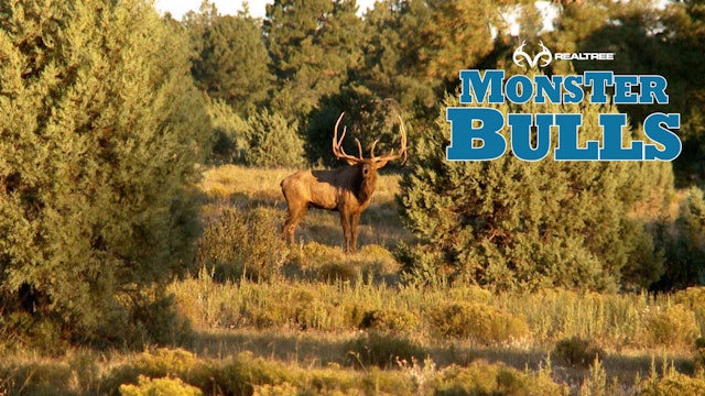 391" Arizona Monster | Bill Jordan's Largest Bull