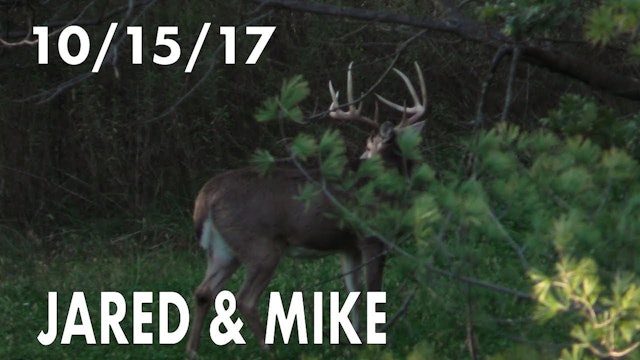 Jared's Blog: Close Call with Top Buck