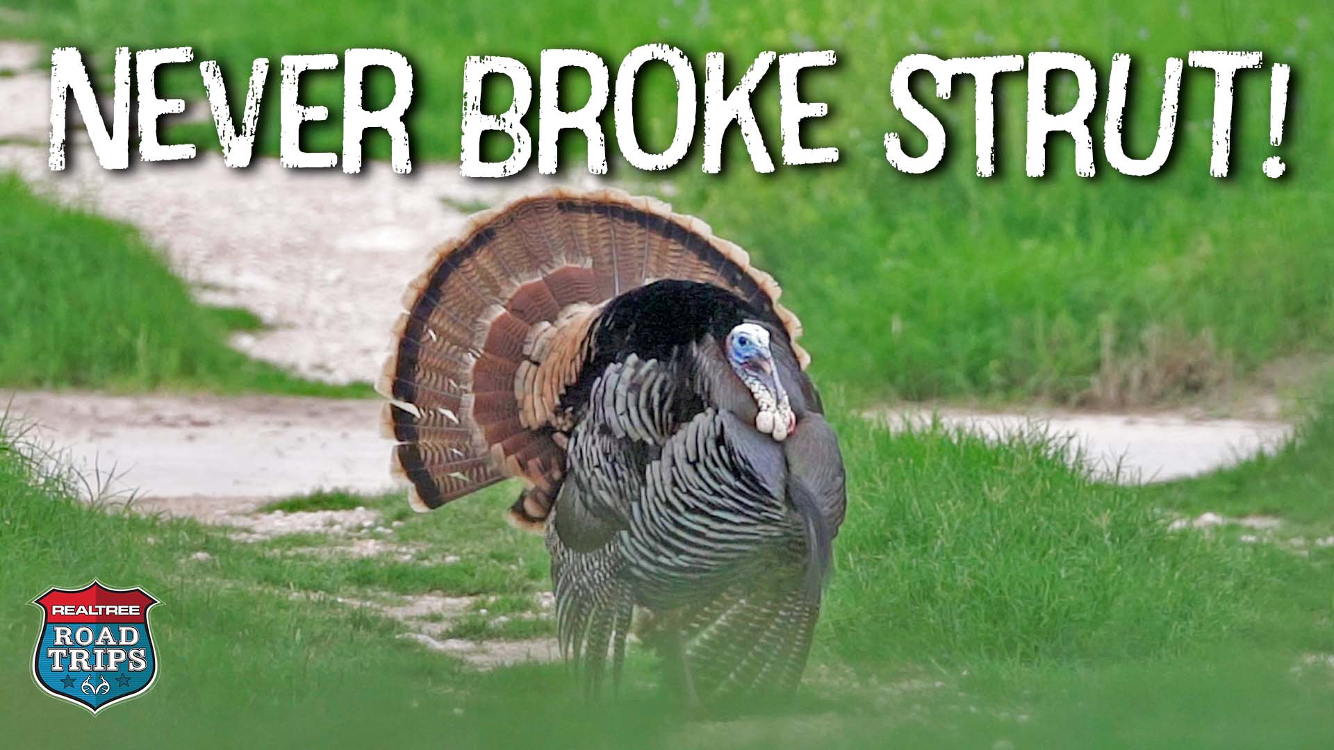 Windy Texas Turkey Hunting | Turkey Struts All the Way In | Realtree Road Trips