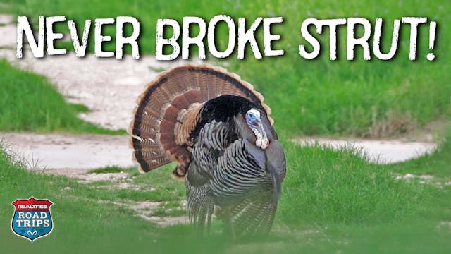 Windy Texas Turkey Hunting | Turkey S...