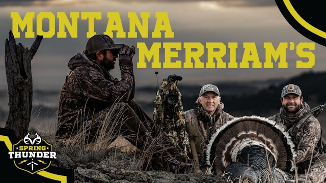 Hunting Turkeys in the Hills | Montana Merriam's | Spring Thunder