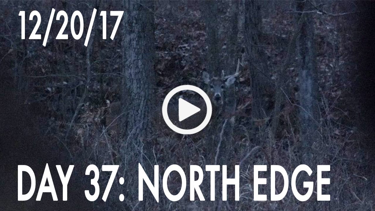 Winke Day 37: North Edge