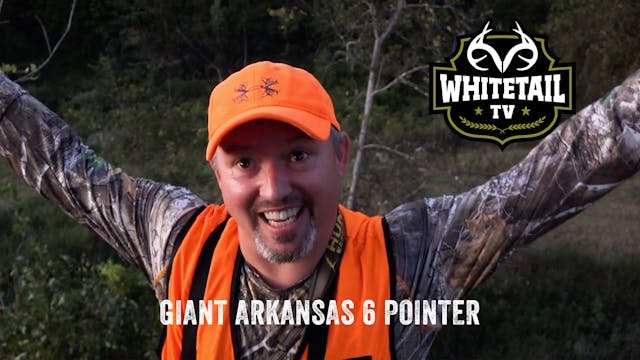 Giant Arkansas 6-pointer and Kentucky...