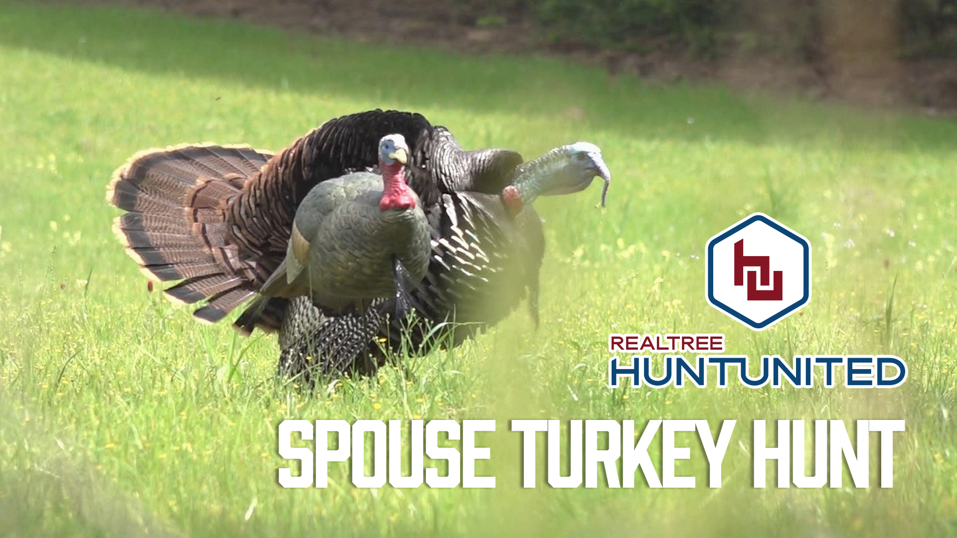 Husband-and-Wife Turkey Hunt | Hunting in the Secret Spot | Realtree Hunt United