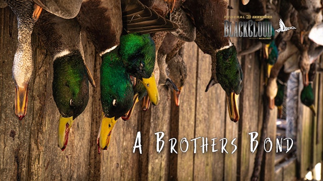 The Ultimate Duck Hunt Sweepstakes | Languille River Waterfowl | Black Cloud