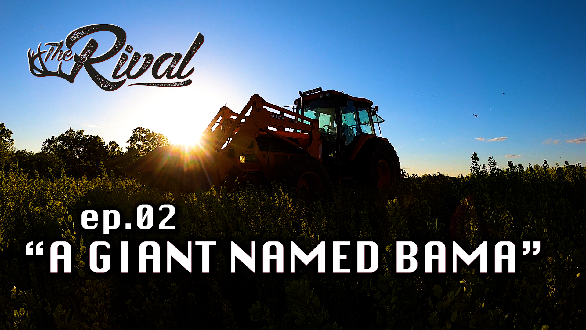 A Giant Buck Named 'Bama | Illinois Dream Farm | The Rival