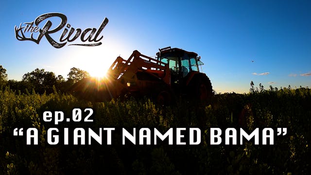 A Giant Buck Named 'Bama | Illinois D...