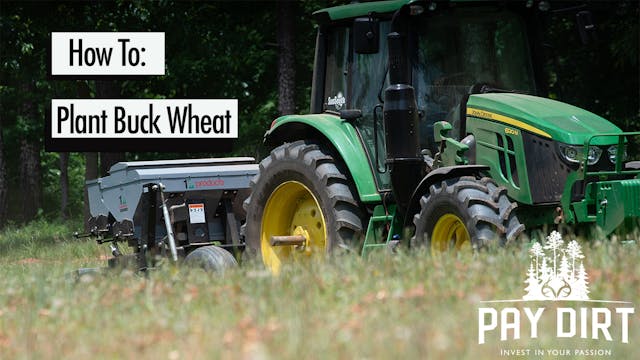 How to Plant Buckwheat | Food Plots f...