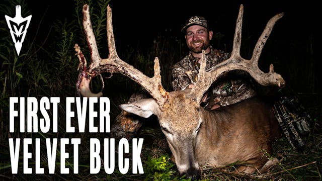 9-7-20: Big Velvet Buck in the Bluegr...