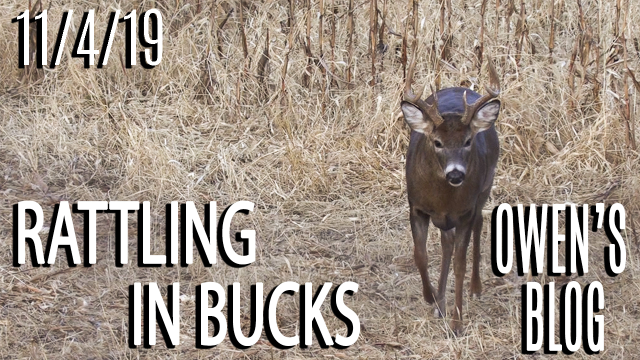 Owen's Blog: Different Farm, Rattling In Bucks