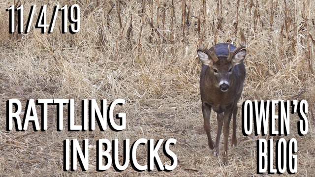 Owen's Blog: Different Farm, Rattling In Bucks