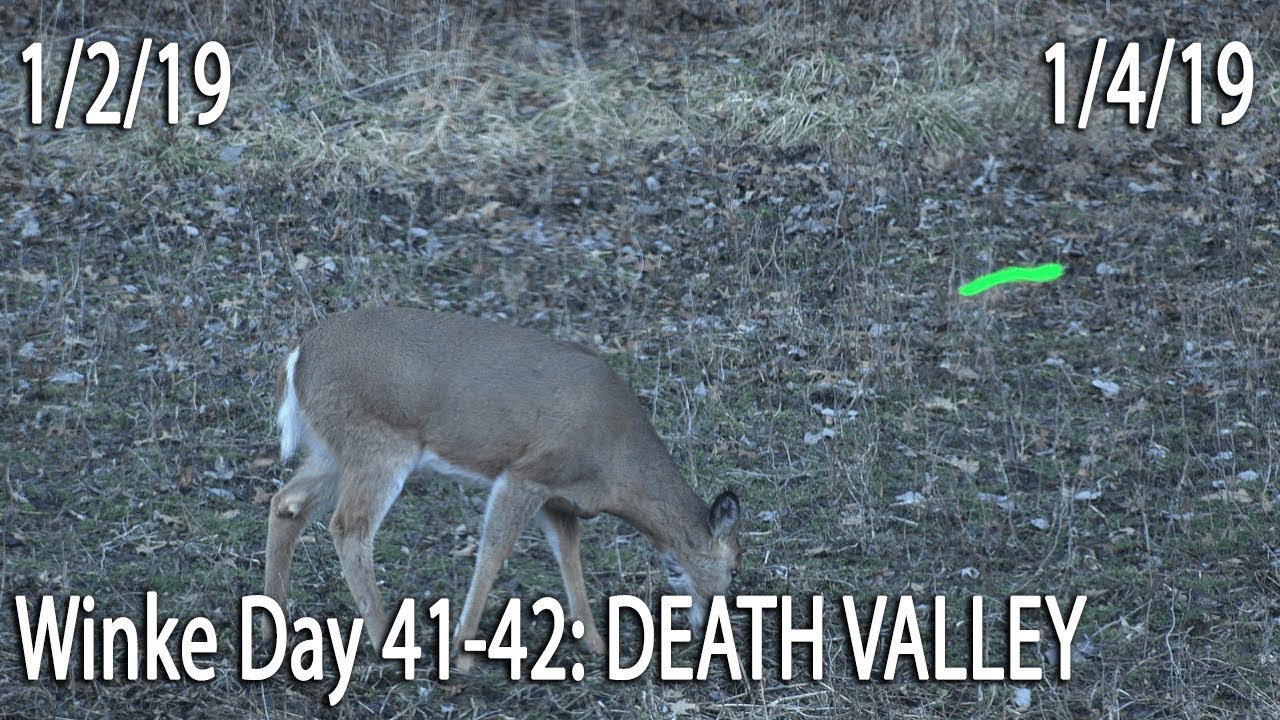 Winke Day 41-42: Death Valley