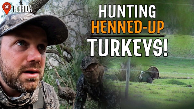 Hunting Tough Osceola Longbeards | Austin Riley in Camp | Realtree Road Trips